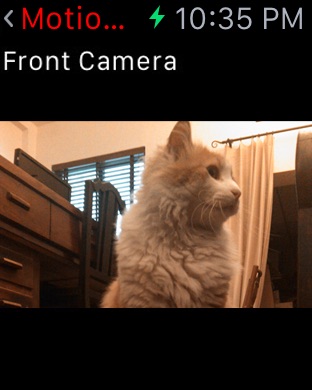 iPhone Screenshot 1