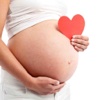 Pregnancy Guide - Week By Week babycenter 