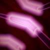 Interactive Case - Action Potential