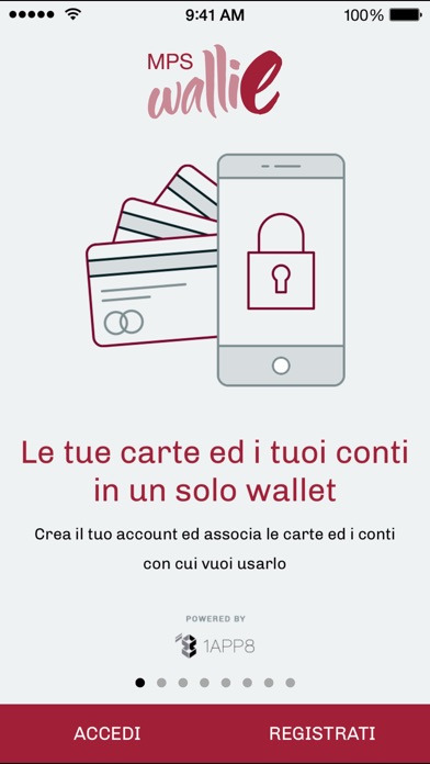 iPhone Screenshot 1