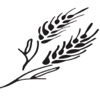 Open Door Fellowship - Kouts