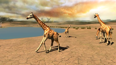 Africa Wild Free screenshot1