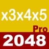 2048 x3x4x5 Pro - Classic + Blind Edition