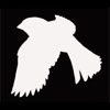 Learning Birds - Topography proofreader marks
