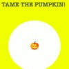 Tame the Pumpkin tame the flame 