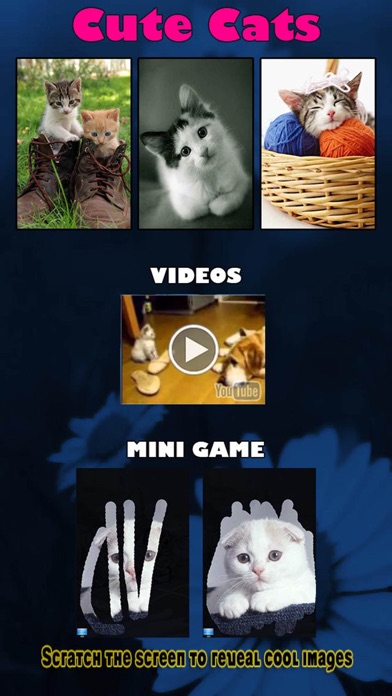 Captura de pantalla del iPhone 2