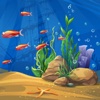 Fish World Match Animals - Match Fishing for Family