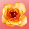 A flor de piel