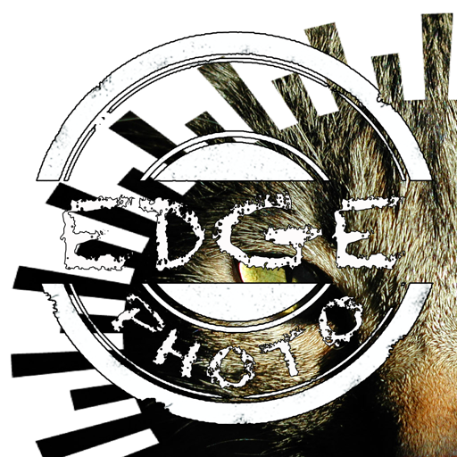 Edge Photos Extension