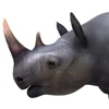 Rhino 3D