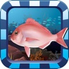 Marketable Fish Flashcards: English Vocabulary Learning Free For Toddlers & Kids!