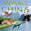 Animals China