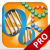 FCS Biology Molecular Genetics (Pro)