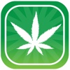 Hemp Blocks