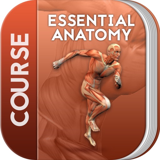 Essential Anatomy 5 - 3D4Medicalcom, LLC