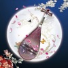 琵琶轻松学视频教程-古典音乐世界名曲节奏大师弹琵琶自学神器