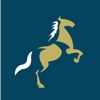 Revista Esporte Equestre