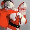 Santa Booth 2016: Catch Santa in your house pictures house plants pictures 