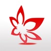 互联网+腰带