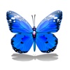 Color Wow 2