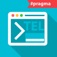 Telnet Client Terminal
