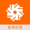 嘉银财富(财富管理专家)