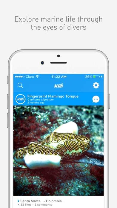 iPhone Screenshot 1