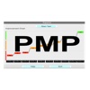 PMP Exam Simulation