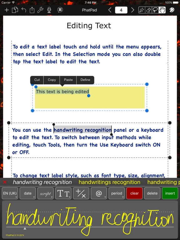 iPad Screenshot 1