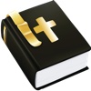 65 Bibles with Commentaries & Study Tools chinese study tools 