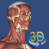 Education Mobile - 3D Anatomy アートワーク