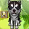 Talking Puppies, virtual pets to care, your virtual pet doggie to take care and play virtual clonedrive 