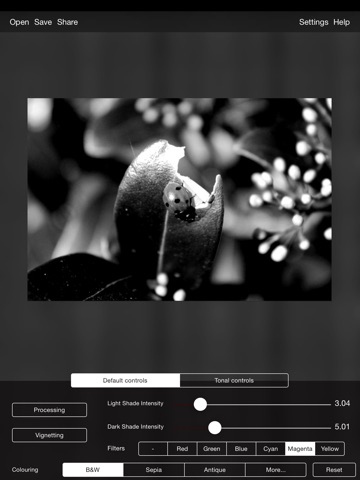 iPad Screenshot 1
