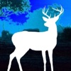 Africa Hunt Deer in Safari game