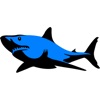 Requin autocollant Pack