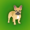 French Bulldog Emoji french bulldog 