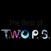 Szilard Domokos - The Best of TWOPS artwork