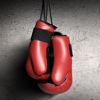 Boxing 101-Weight Training Guide boxing weight classes 