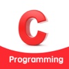 C/C++ programming programming software 