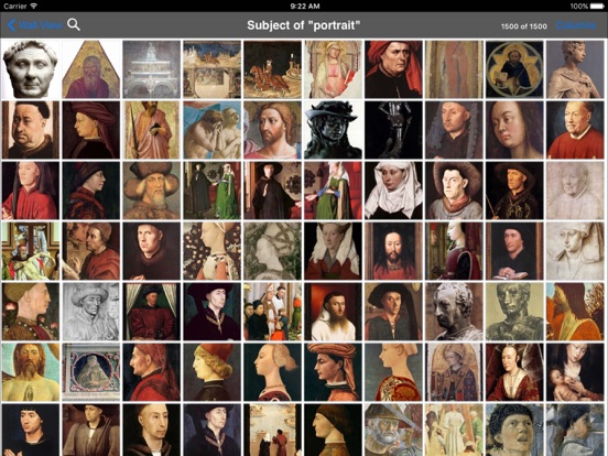 iPad Screenshot 5