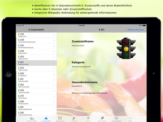 iPad Screenshot 4