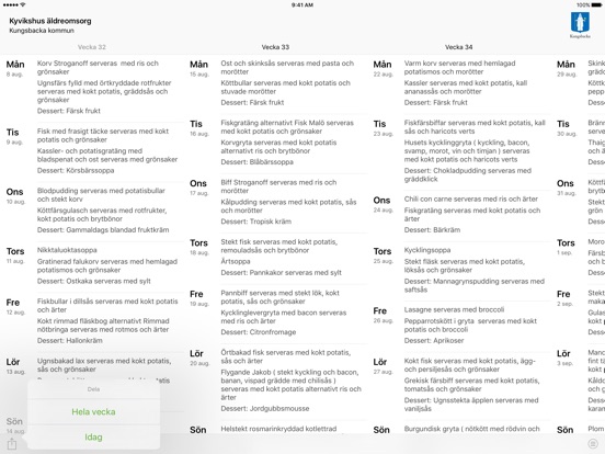 iPad-skärmavbild 3