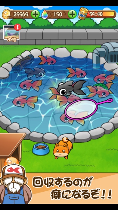 金魚コレクション - 金魚すくい無料ゲーム screenshot1