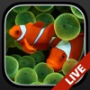 Aquarium Moving Wallpapers for Lock Screen free: Animated backgrounds for iPhone free animated moving images 