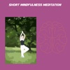 Short mindfulness meditation guided meditation 