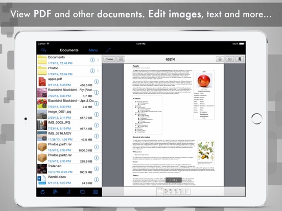 Usb Flash Drive Lite On The Ipad Screenshot 2