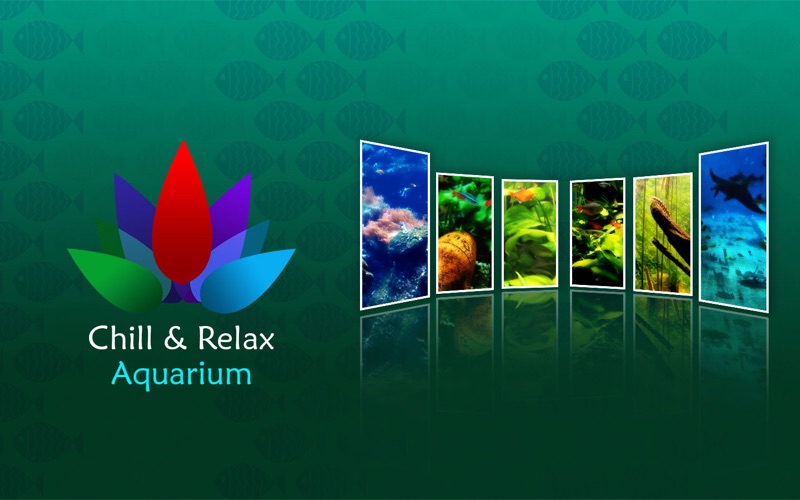 Chill_Relax_Aquarium_Cay_Fish_Tank_HD_Video.app caprure 1 1_Chill_Relax_Aquarium_Cay_Fish_Tank_HD_Video.jpg