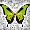 Butterfly & Flowers Coloring Pages for Adults Game flowers coloring pages 