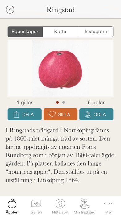 iPhone Screenshot 1