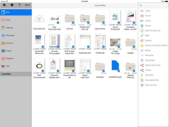 iPad Screenshot 1